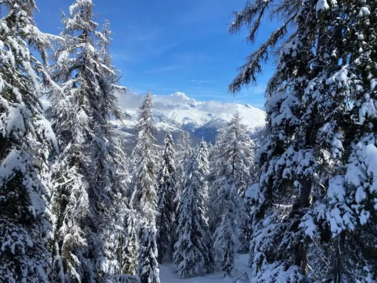 Apartamento Le Rhododendron La Plagne-Tarentaise Francia